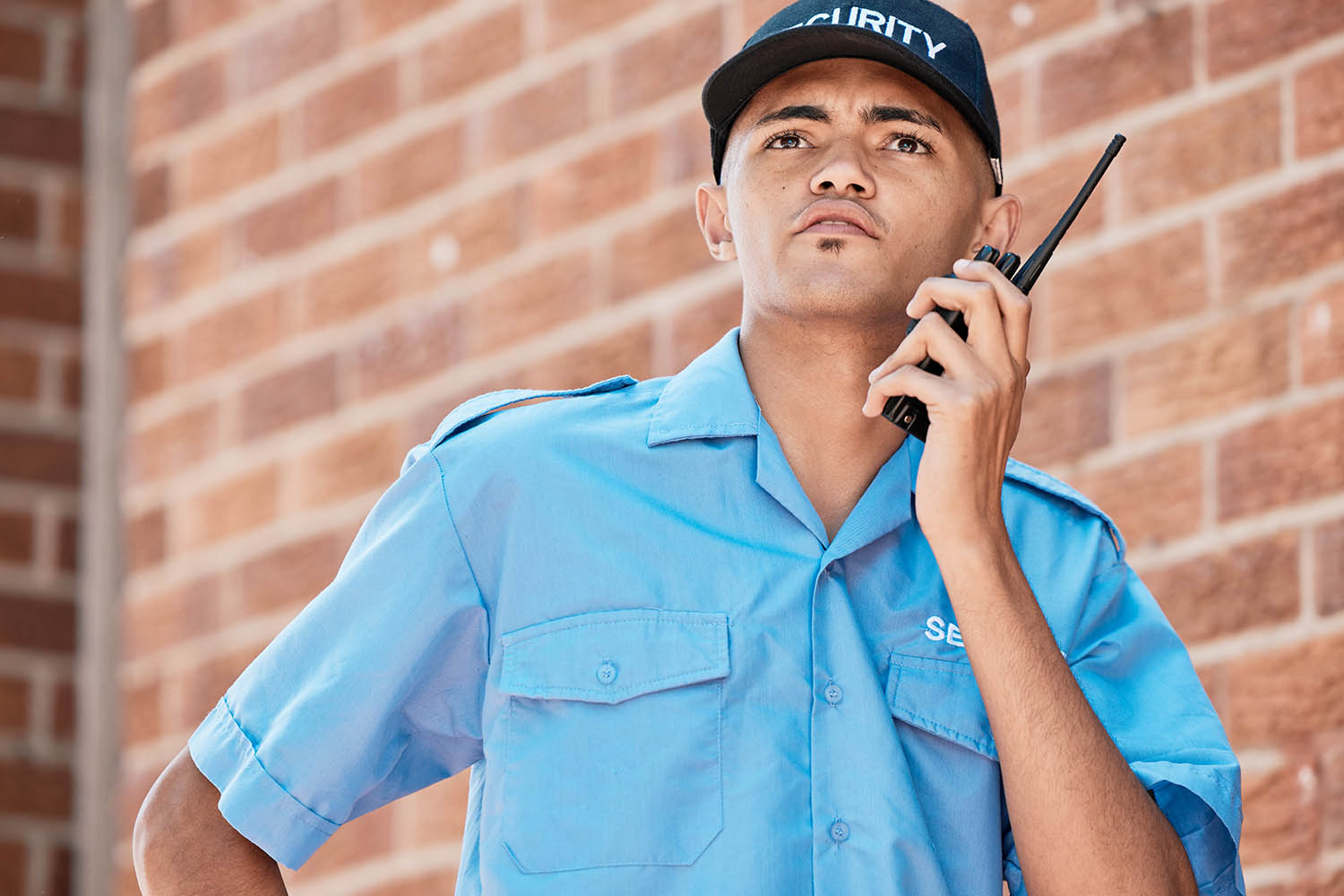 American Premier Security Inc business image in Canoga Park, CA